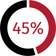 Image of a Graph Displaying - 45%
