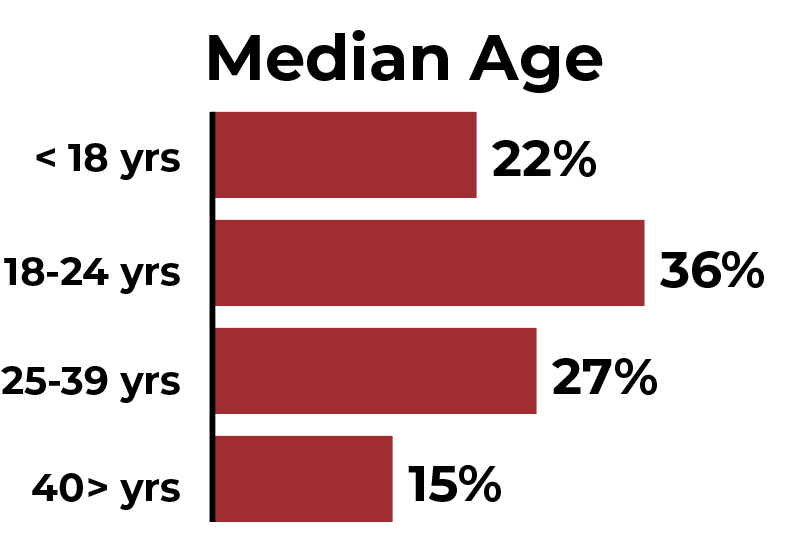Image of a bar graph for median age