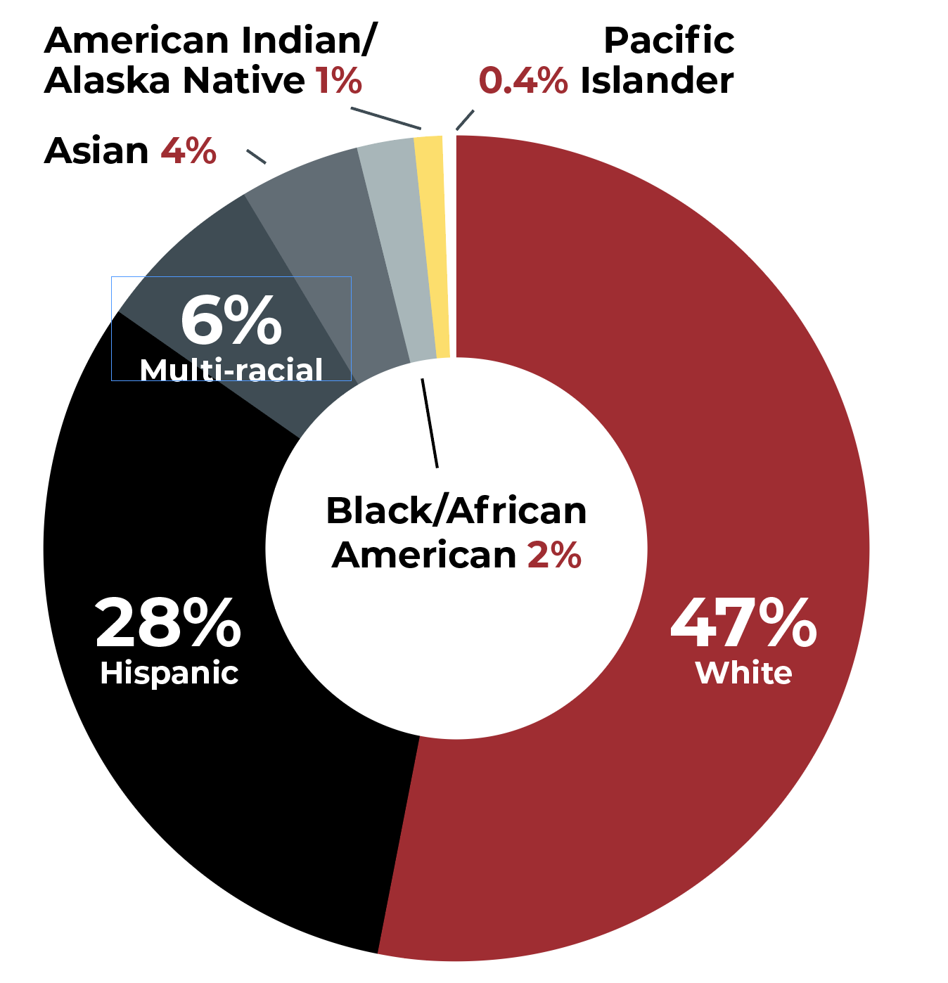 Pie chart: 47% White, 28% Hispanic, 6% Multi-racial, 4% Asian, 2% Black/African American, 1% American Indian/Native, 0.4% Pacific Islander