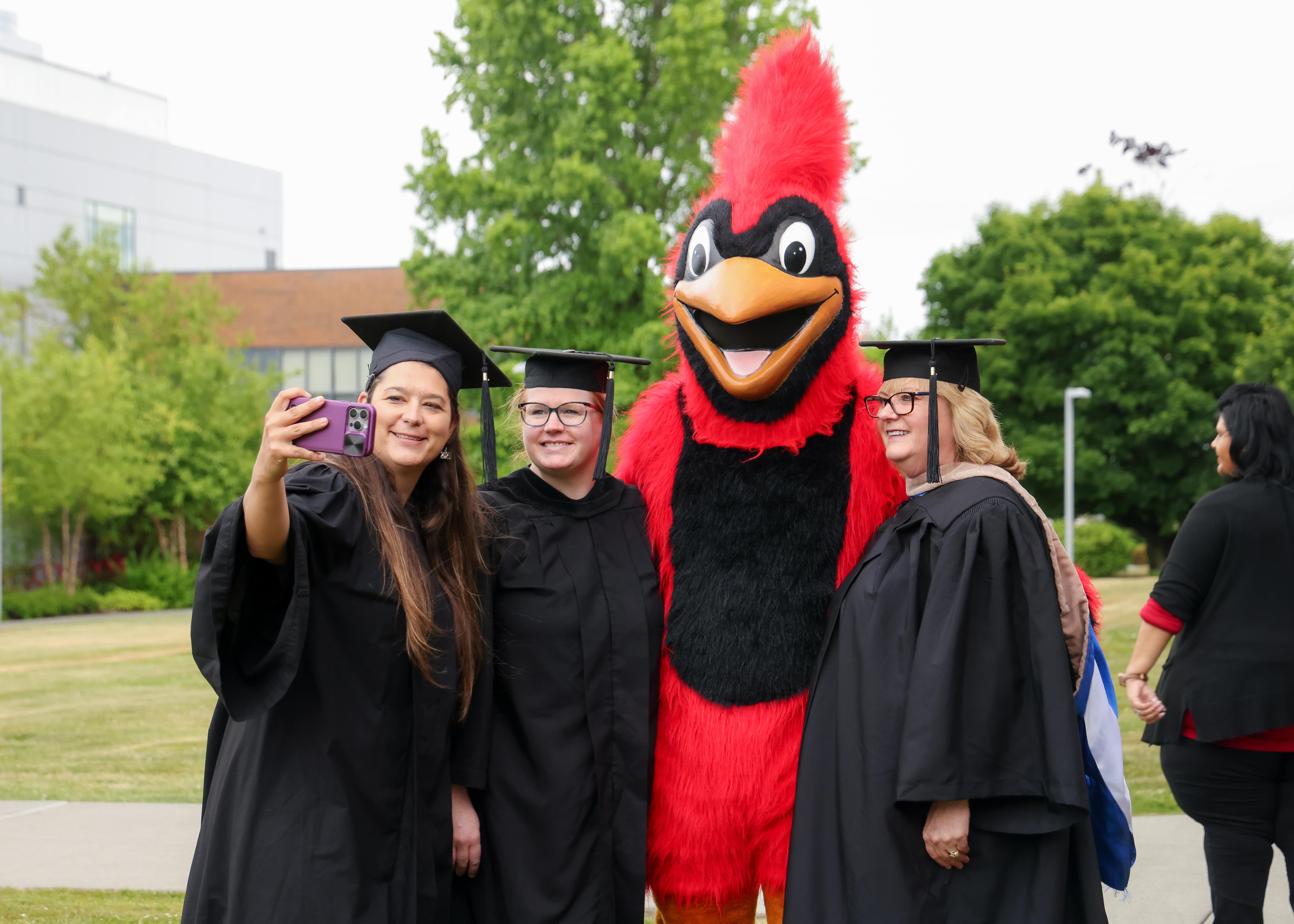 Bachelors Photo