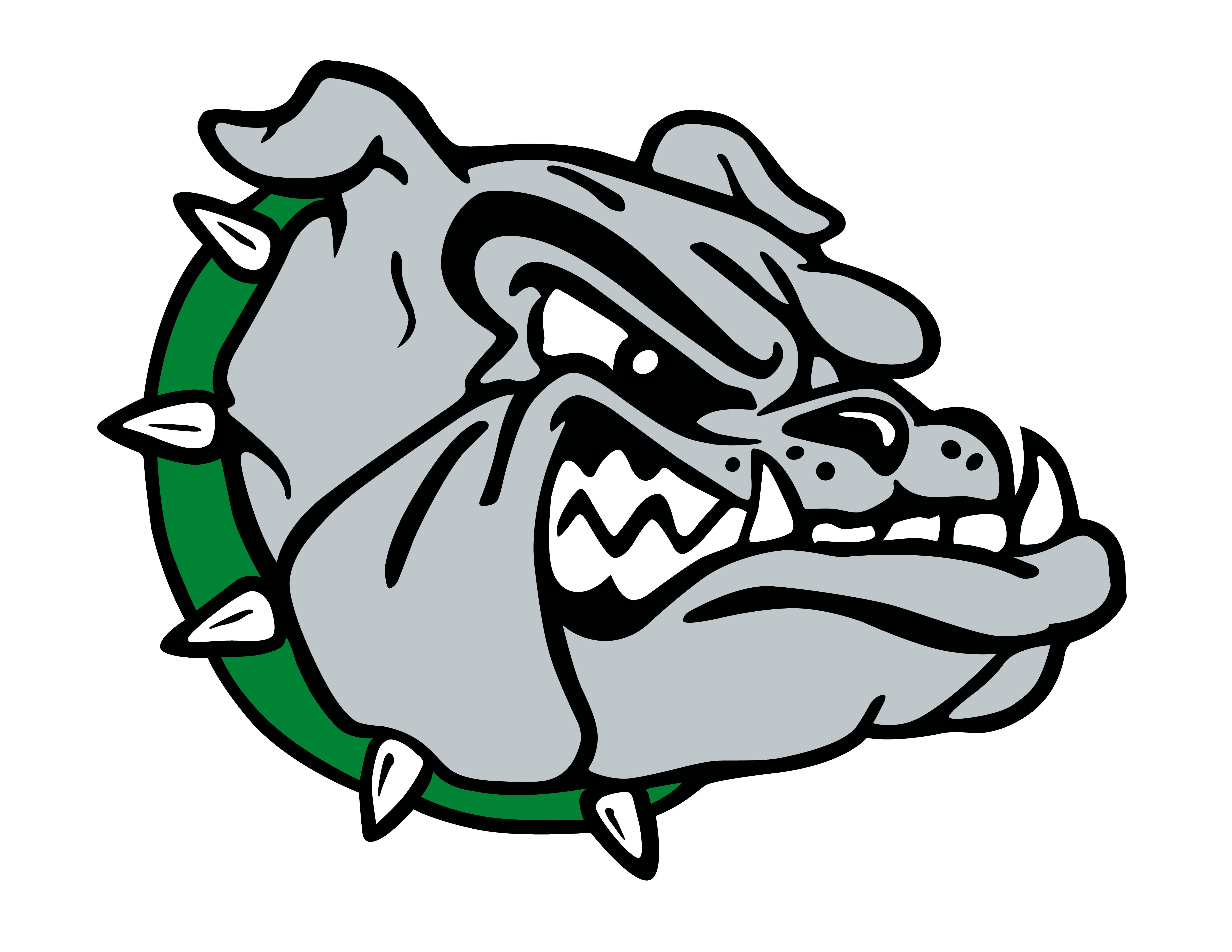 Mount Vernon High School