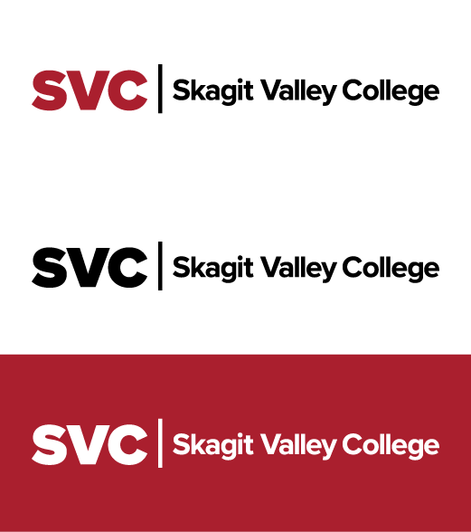 Primary logo examples